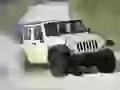 Jeep J8