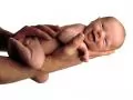 open picture: Newborn on a man`s hand
