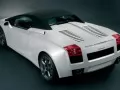 open picture: «White Lamborghini Gallardo-Spyder with a black roof»