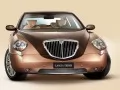 Zolotisto-brown Lancia Thesis-Bicolore