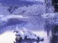 выбранное изображение: «Озеро зимой»