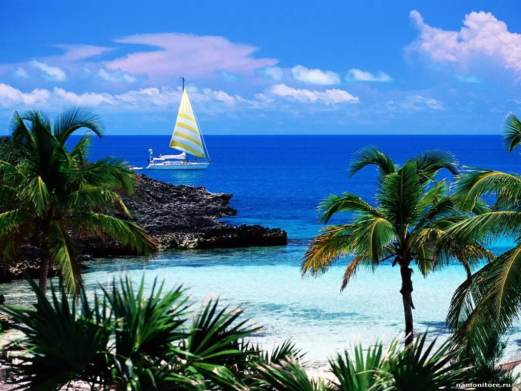Багамские острова. Eleuthera Point, Harbour Island, море, остров, пальмы, природа, тропики х