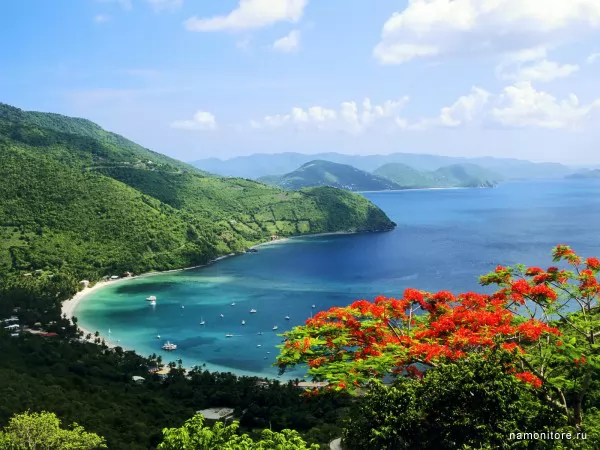 British Virgin Islands, Tortola, Summer