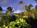 current picture: «Gavaj, Kauai»