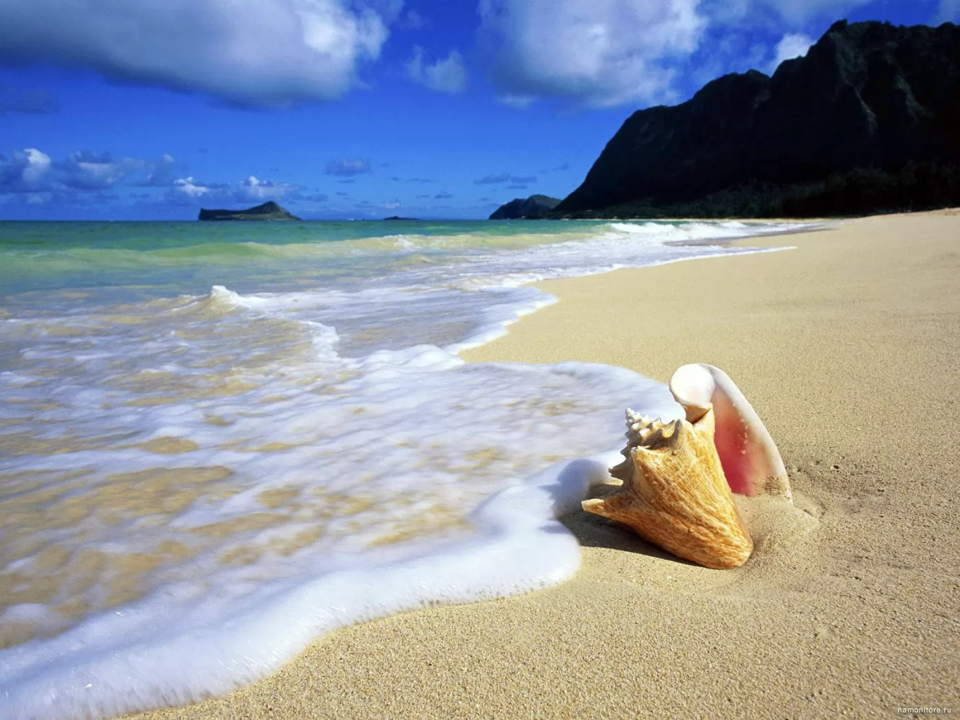 Лето море. Красивый пляж. Красивый берег моря. Пляж песок. А дальше будет лето
