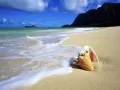 open picture: «Hawaii, Oahu»