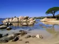 open picture: «Corsica. Porto-Vekkio»