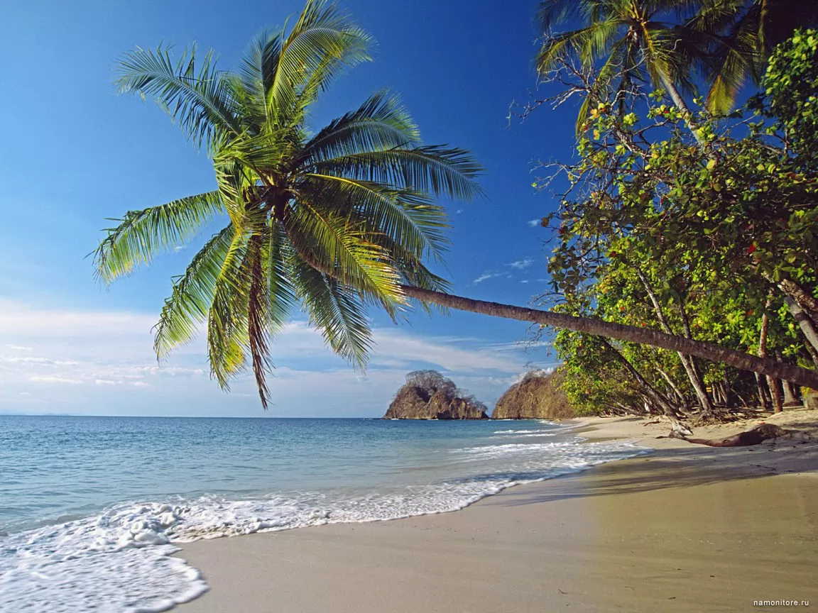 Коста-Рика, Тихоокеанское побережье, клипарт, море, остров, пальмы, пейзажи, побережье, природа, синее, тропики х