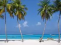open picture: «Maldive Islands»