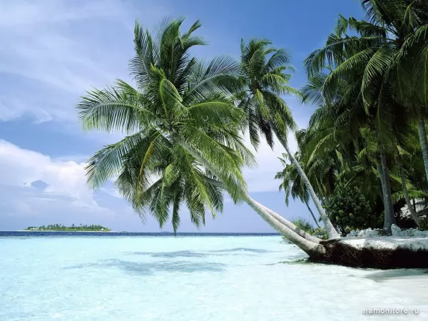 Islands, Summer