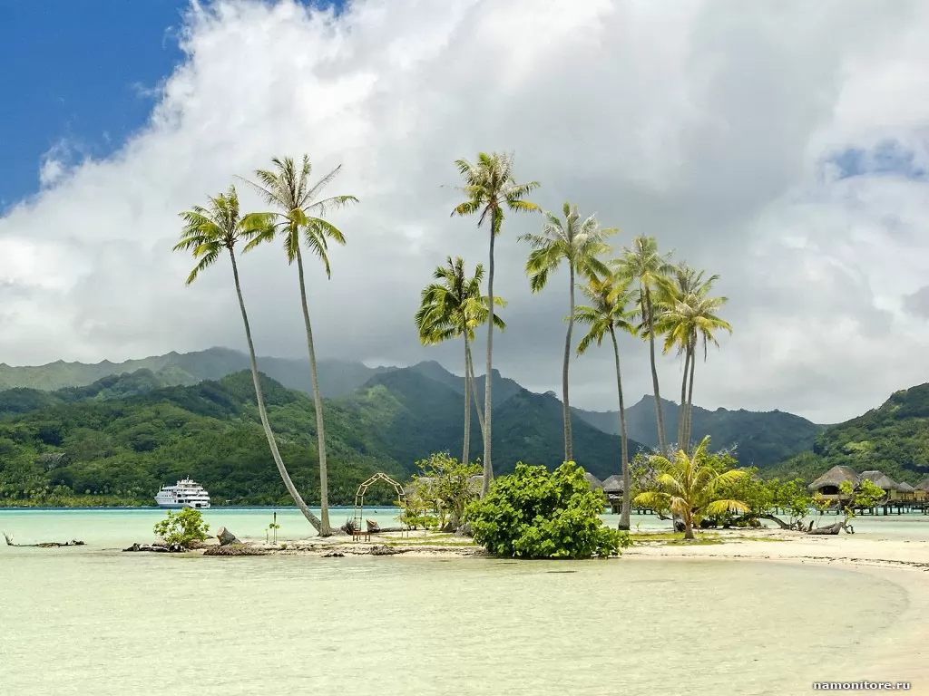 Полинезия. Tahaa Island, море, остров, пальмы, природа, тропики х