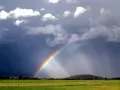 After a thunder-storm. A rainbow over a green field