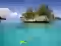Coming nearer to island