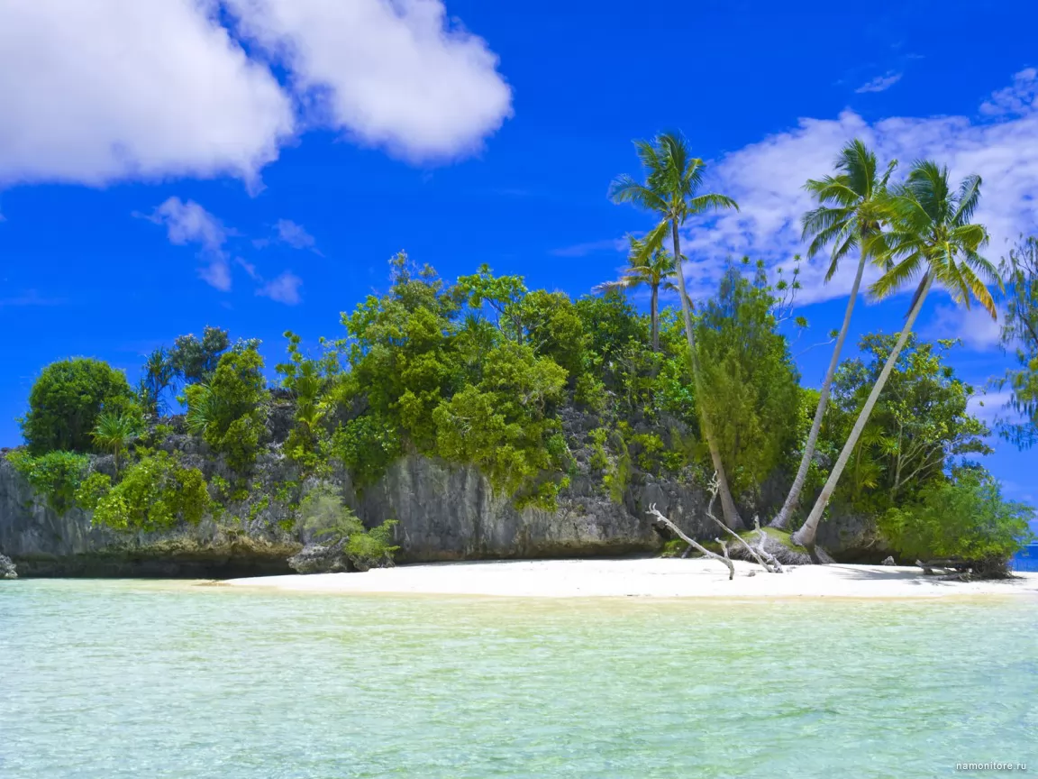 Республика Палау, остров, пальмы, пейзажи, природа, тропики х