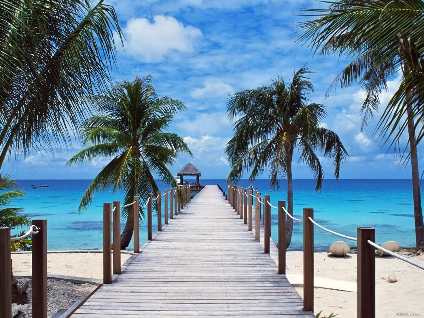 Tahiti, best, clipart, coast, dark blue, island, landing stage, nature, palm trees, sea, tropics x
