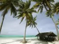 open picture: «Tanzania, island Zanzibar»