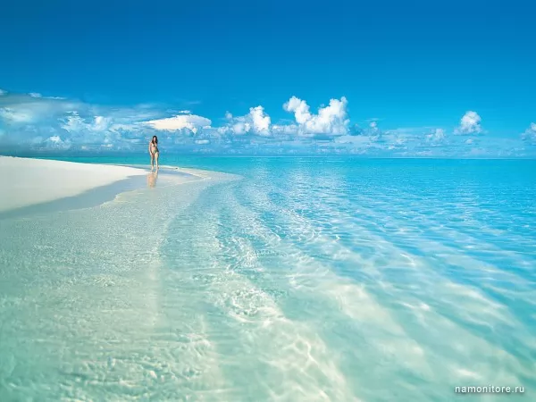Tropical luxury, Summer