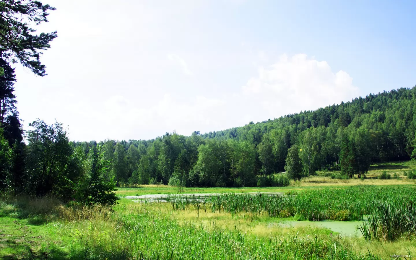 �������� ����, �������, �����, �������, ������� �