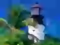 Beacon and a palm tree top