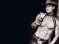 open picture: «The Cowboy»