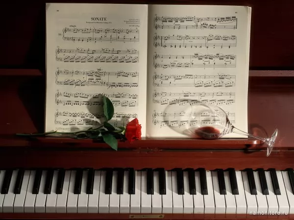 Sonata, Music