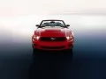 выбранное изображение: «Ford Mustang»