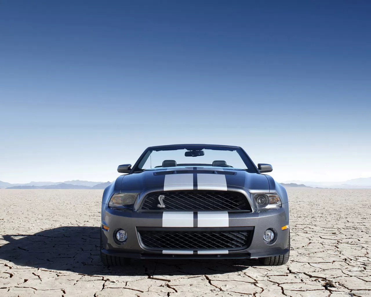 Ford Mustang Shelby GT500 Convertible , Ford, Mustang, Shelby, , , , ,  