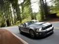 обои для рабочего стола: «Ford Mustang Shelby GT500 Convertible»