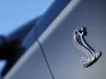 выбранное изображение: «Эмблема Ford Mustang Shelby GT500 Convertible»
