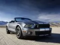 open picture: «Ford Mustang Shelby GT500 Convertible»