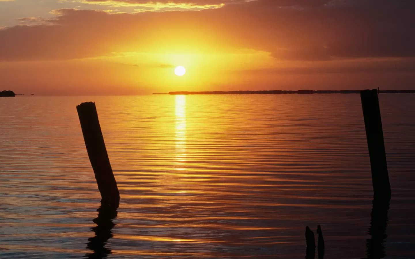 A New Day Begins, Everglades National Park, , , ,  