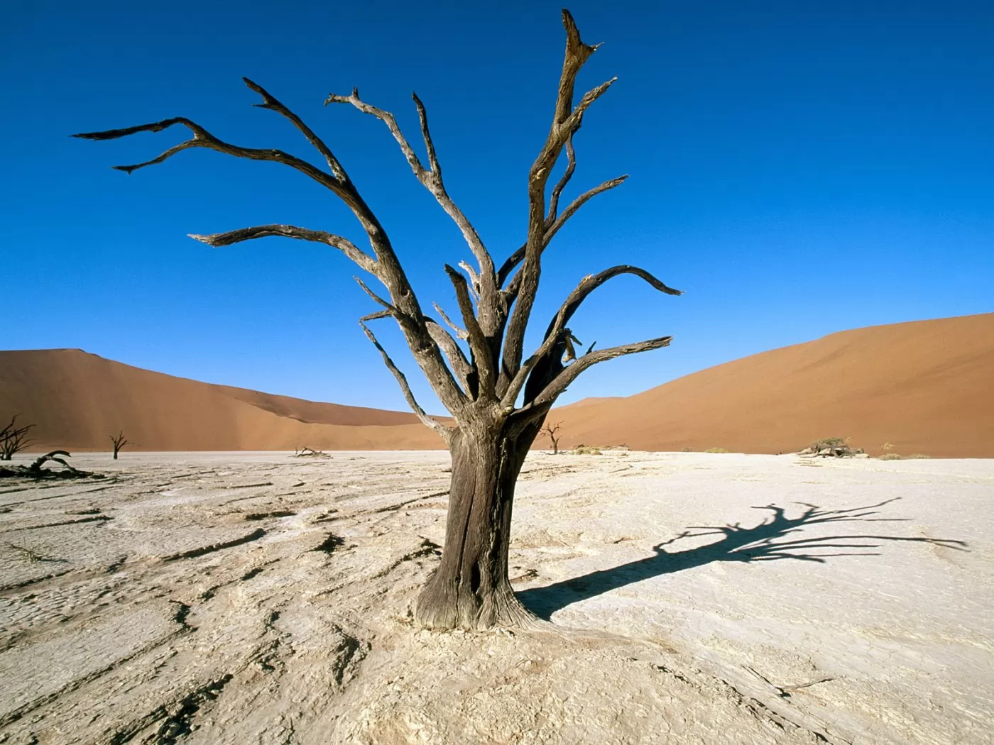 , . Namib-Naukluft Park, , ,  