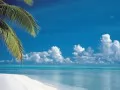 open picture: «Aitutaki, a tropical beach»