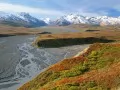 обои для рабочего стола: «Аляска, Национальный парк Денали»