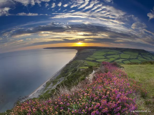 England, Dorset, Nature