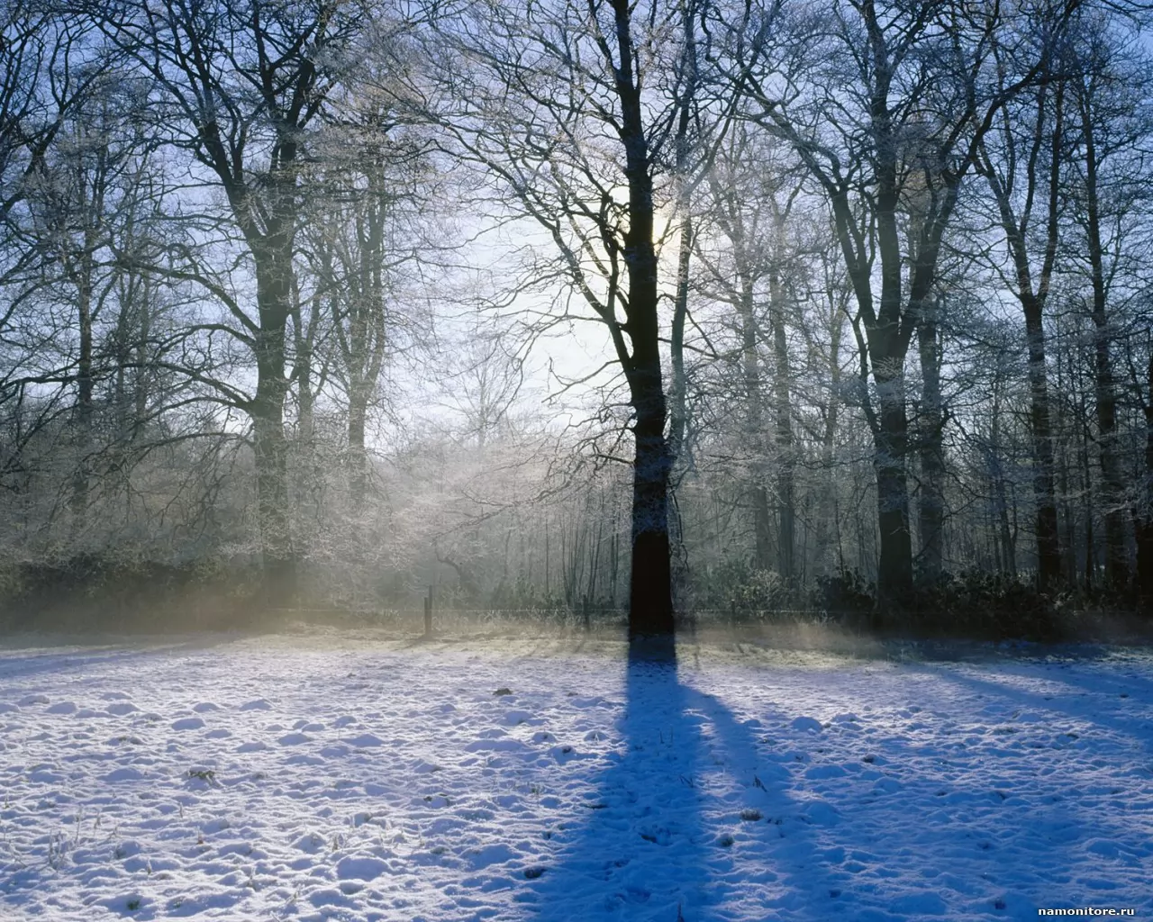 . Winter Morning, Norfolk, , , ,  