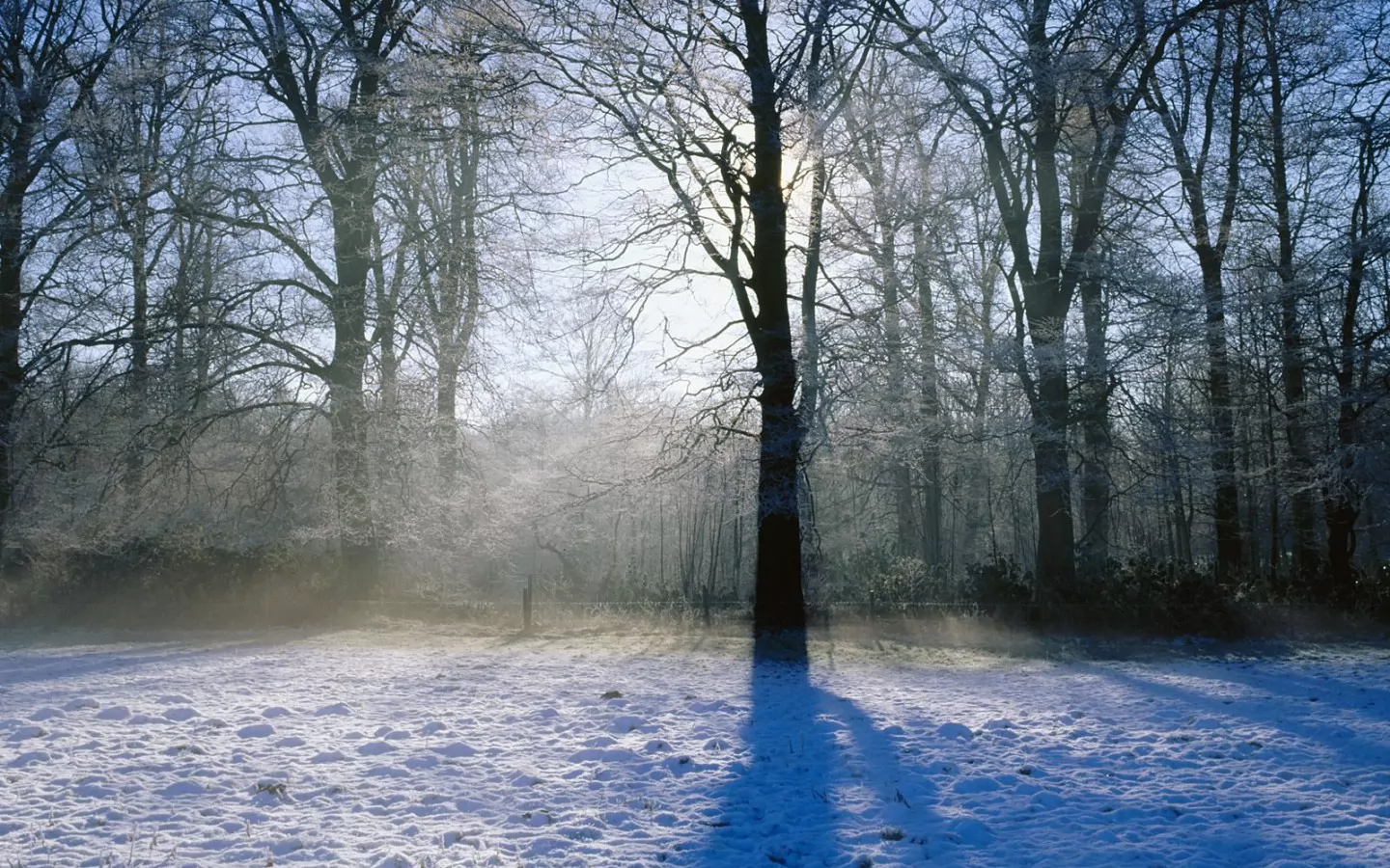 . Winter Morning, Norfolk, , , ,  