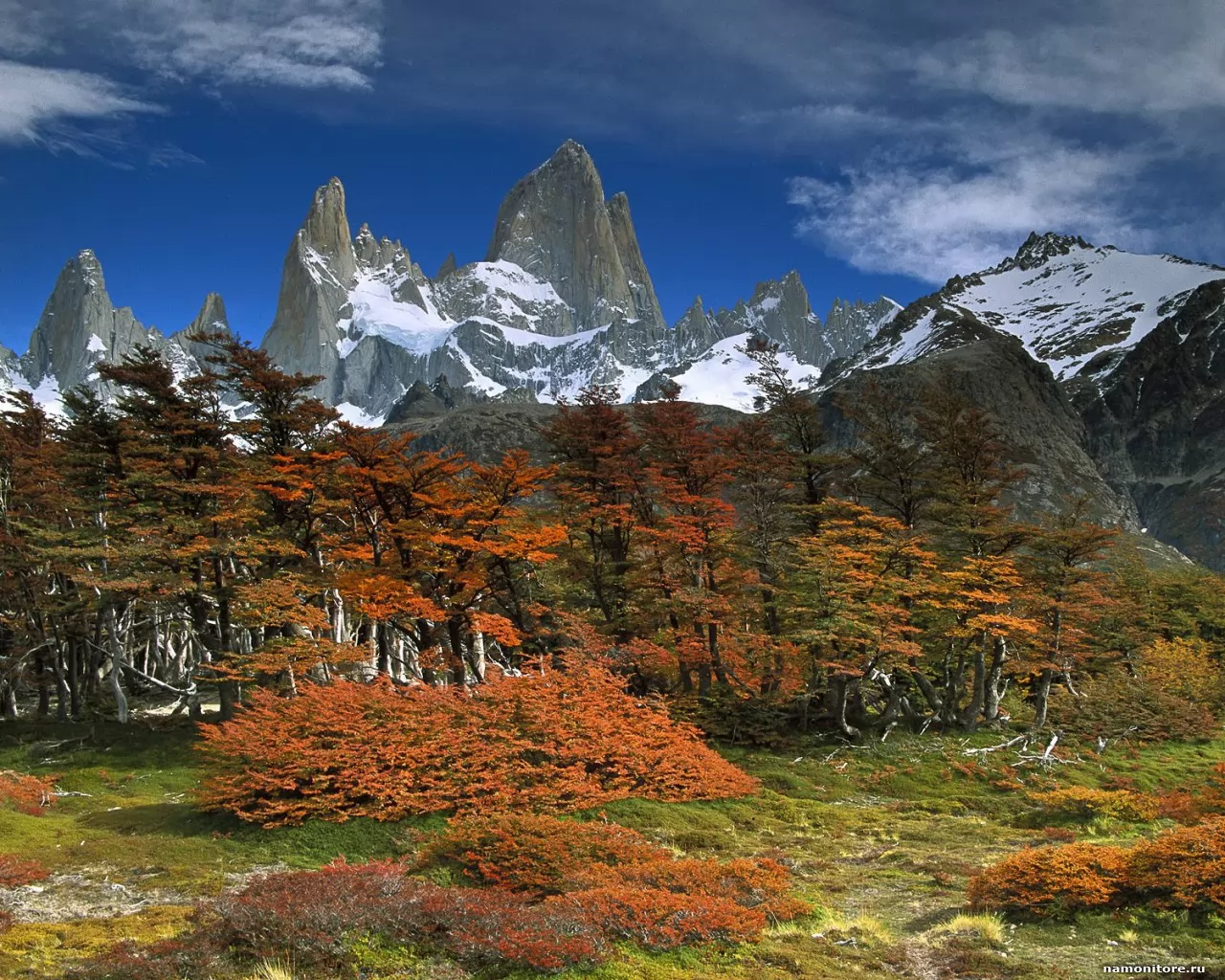 , . Mount Fitzroy and Beech Tree, , ,  