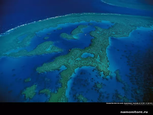 Австралия. Коралловые рифы, Природа