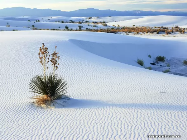 Белый песок, Природа