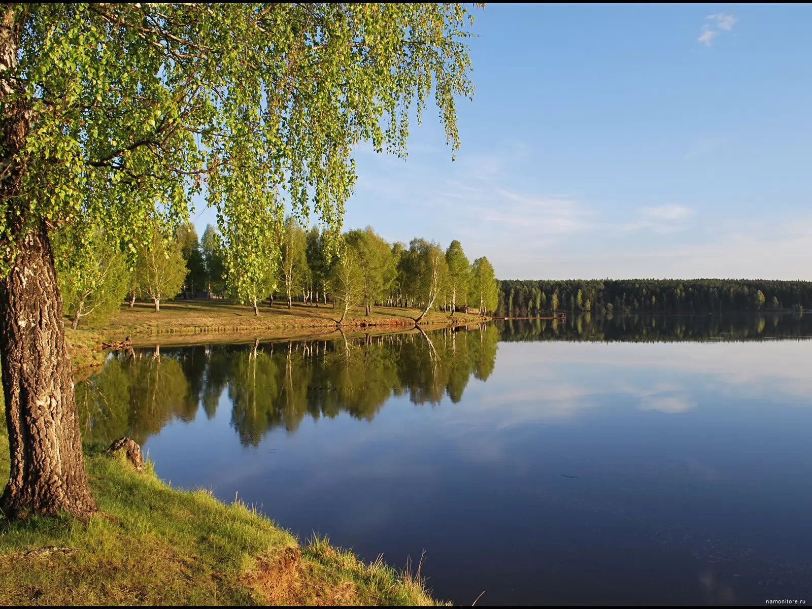 Волга природа Ярославская область
