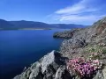 open picture: «island Barakchin Coast on lake Baikal»