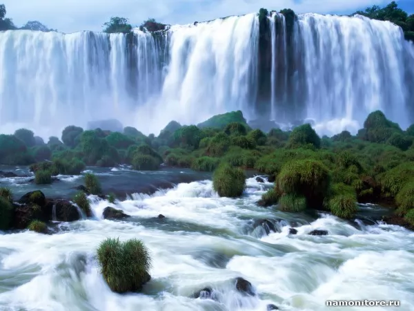 Бразилия. Iguassu Falls, Природа
