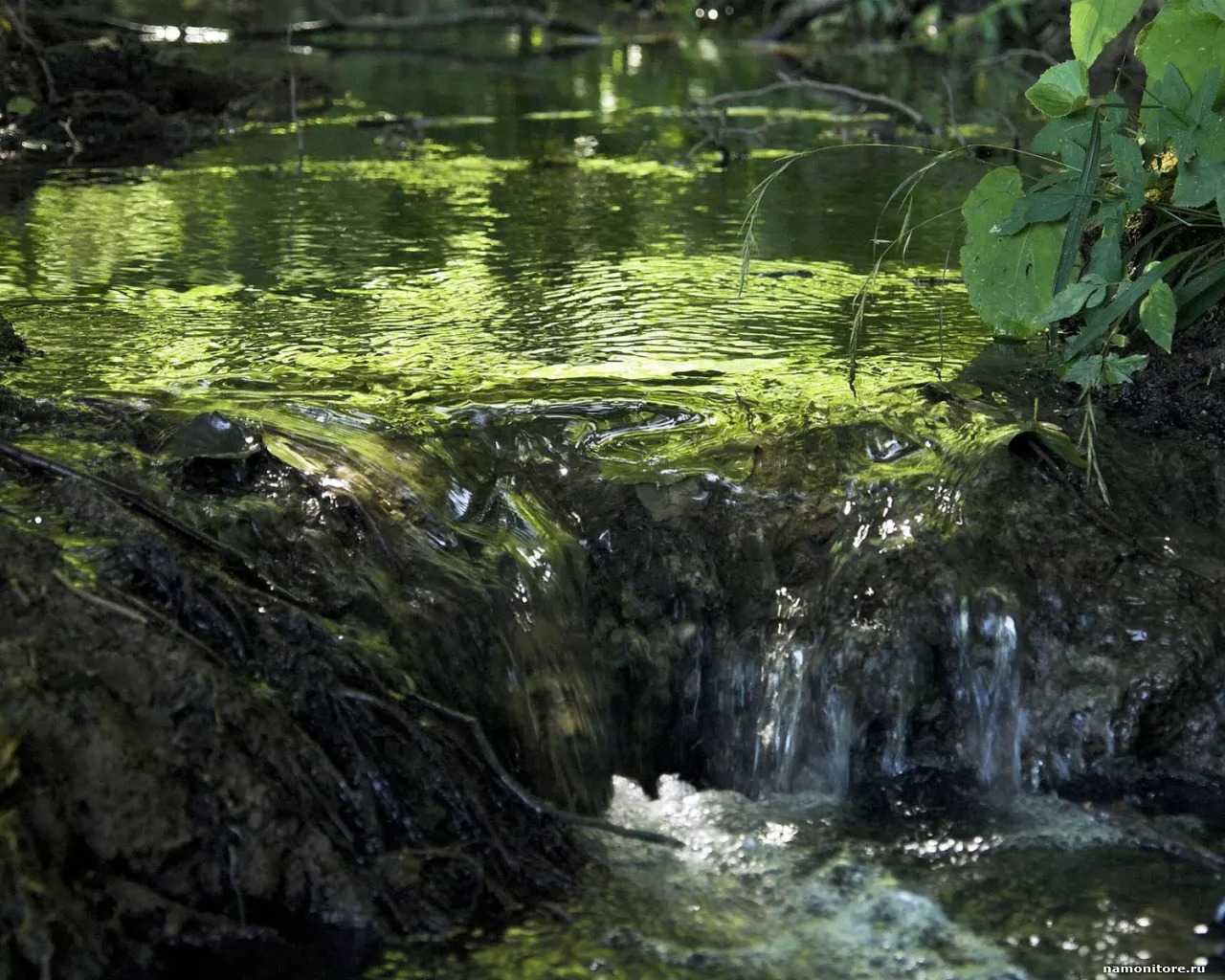 Источник черной воды. Талые воды. Текущая вода. Надземные воды. Вода в реке роса.