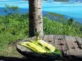 open picture: «Exotic fruit on a wooden table at lagoon coast»
