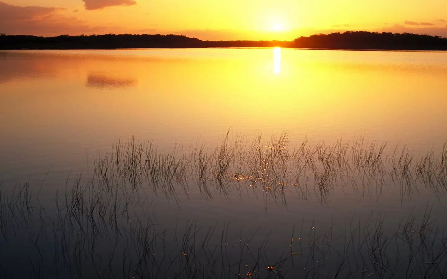 . Everglades National Park at Sunrise, , , , , , ,  