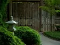 open picture: The Lantern in the Japanese garden