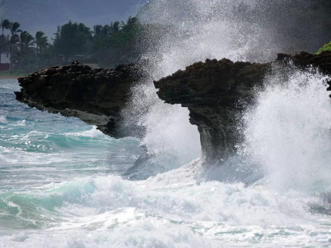 . Pounders Beach, Laie Beach Park, , , , ,  