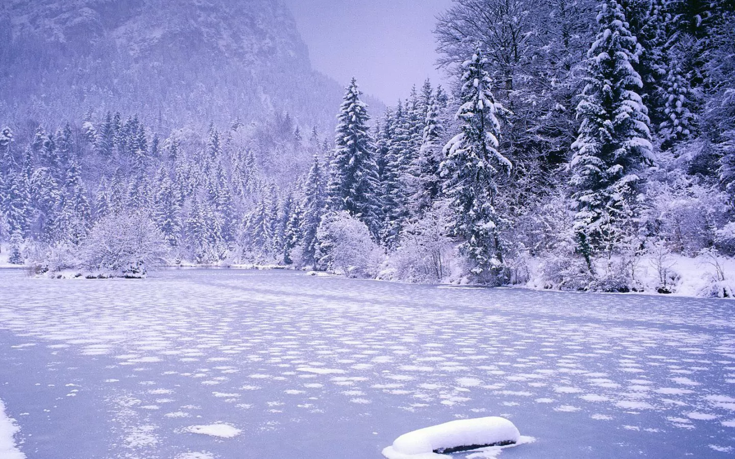 . , Frozen Lake, Schnolzersee, , , , , , , ,  