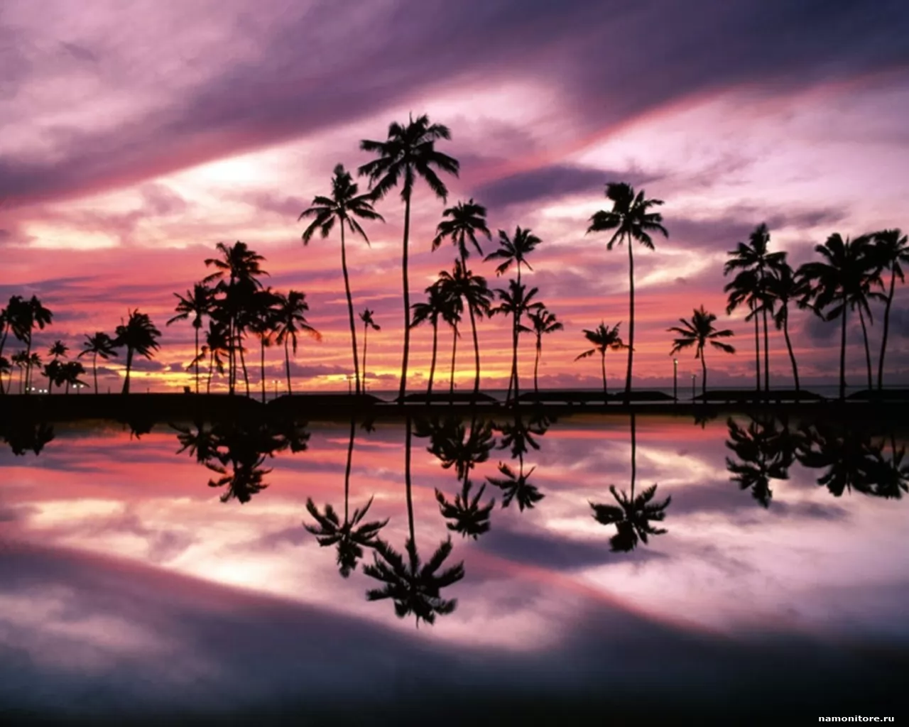 Honolulu, Oahu, Hawaii, Америка, море, остров, пальмы, пейзажи, побережье, природа, сиреневое, тропики х